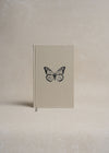 The Chrysalis