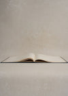 XL Ouroboros Onion Skin Journal