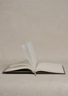 Toward the Light Onion Skin Journal